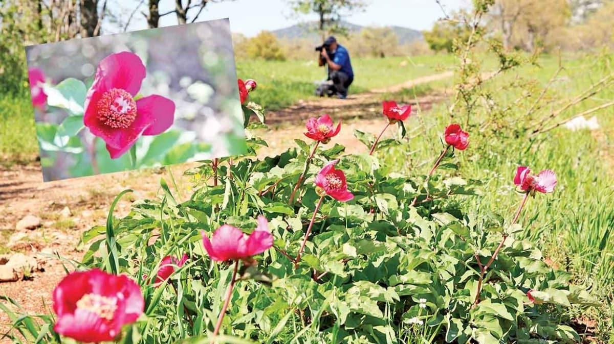 akayk koparmann cezas 60 bin TL