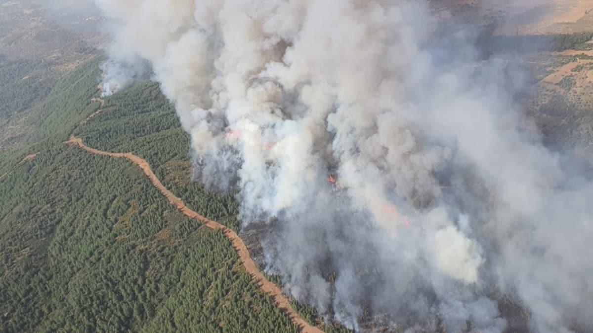 Muğla'da orman yangını çıktı