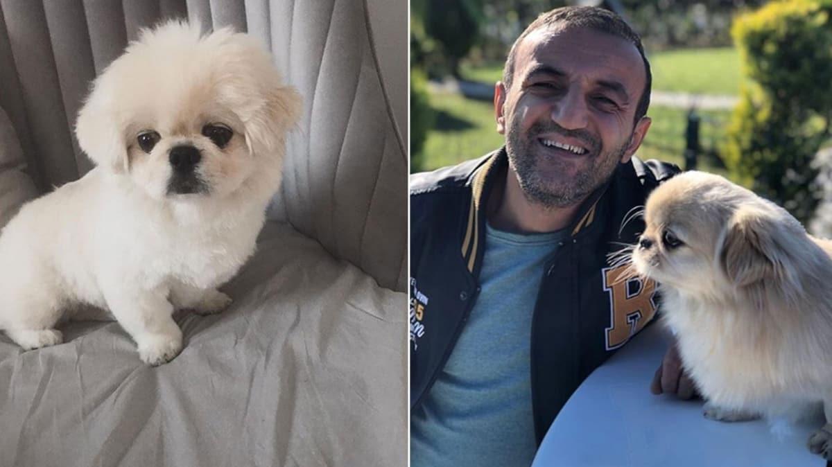 Ersin Korkut yeni köpeğini paylaştı ve takipçilerinden yardım istedi