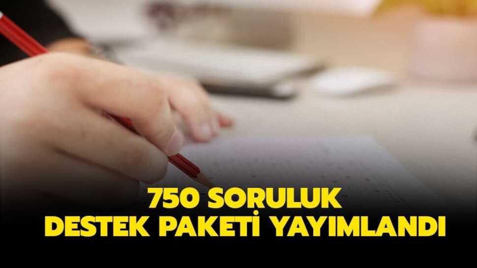 Lise 750 soruluk 4. destek paketi yayınlandı!