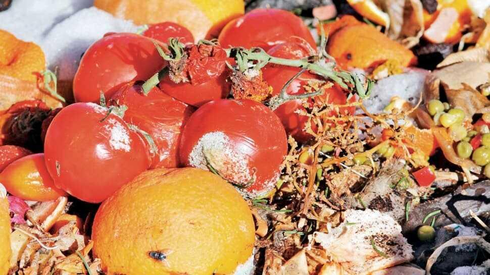 Yaşamın devamı için gıdamızı korumalıyız