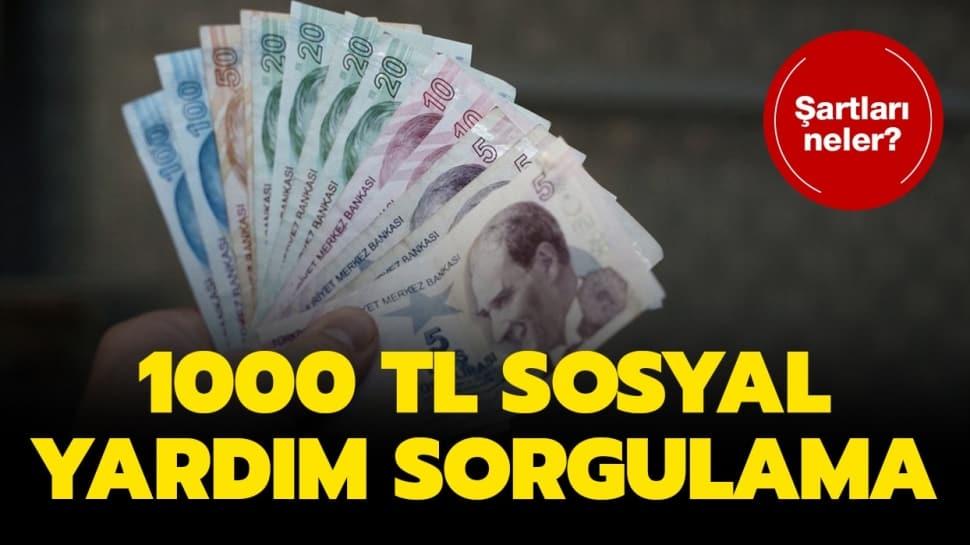 Pandemi Başvurusu / Pandemi 1000 TL sosyal yardım başvurusu ne zaman