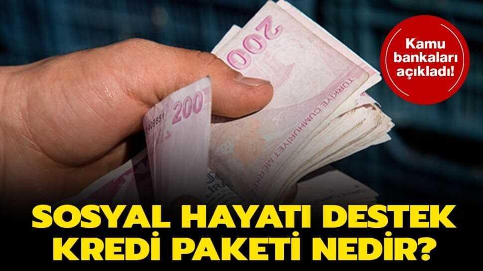 6 ay geri ödemesiz Sosyal hayatı destek kredi paketi nedir" Sosyal hayatı destek kredisi faiz oranları ne kadar"