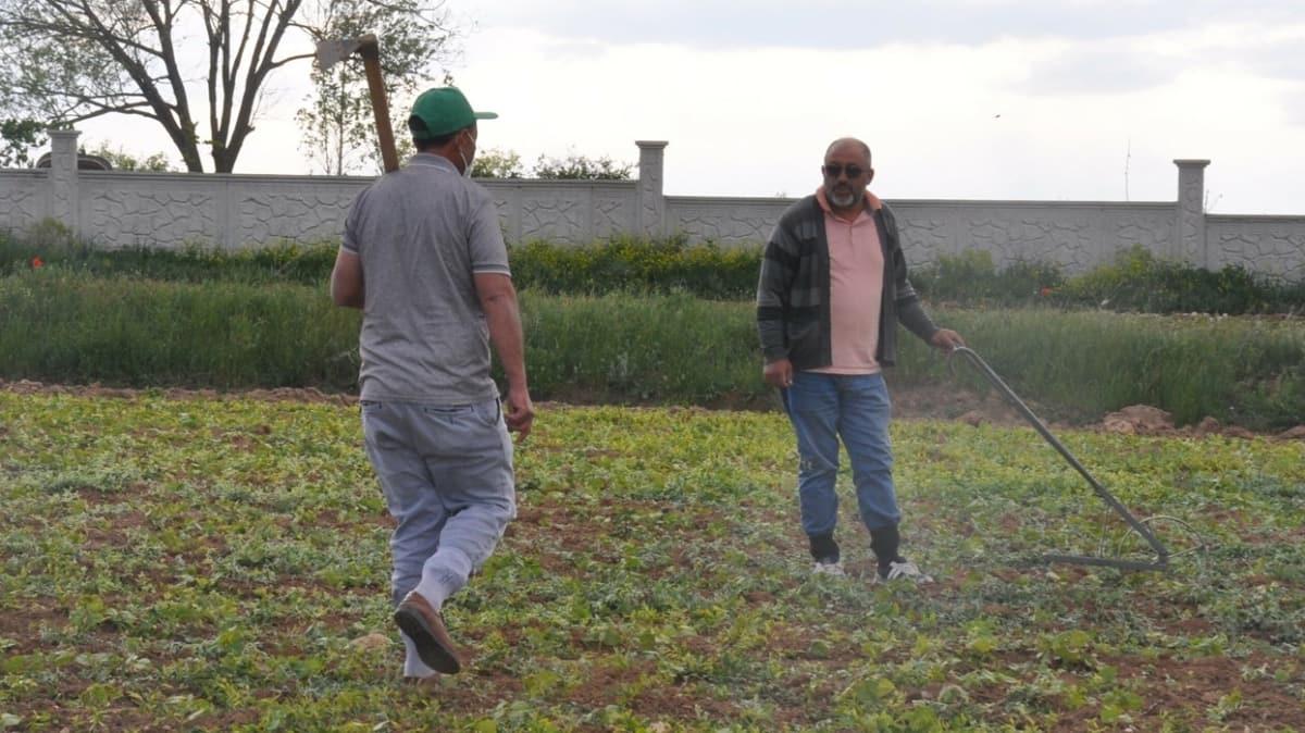 Gümüşhaneli çiftçilerin 'kene' endişesi: Koronavirüsten 3 kat daha ölümcül