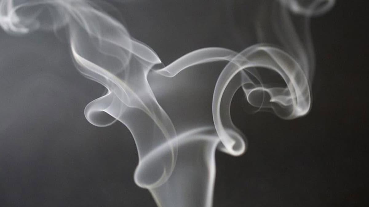 Nikotin metastatik beyin kanserini tetikliyor olabilir