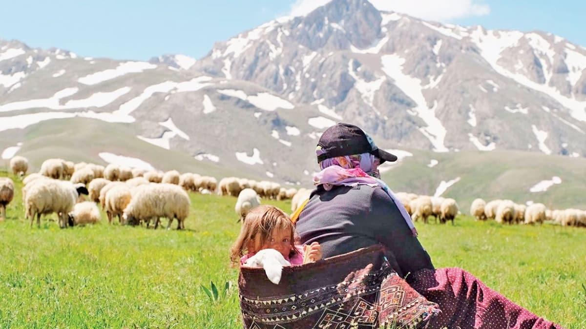 Kuzuyla ayn bohada yolculuk