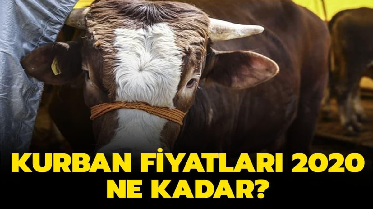 Kurbanlk fiyatlar akland m" 