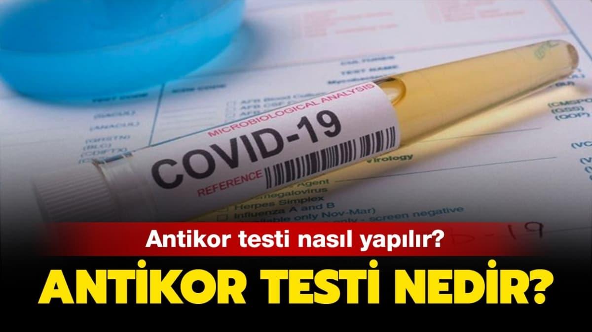 Antikor testi nedir" 