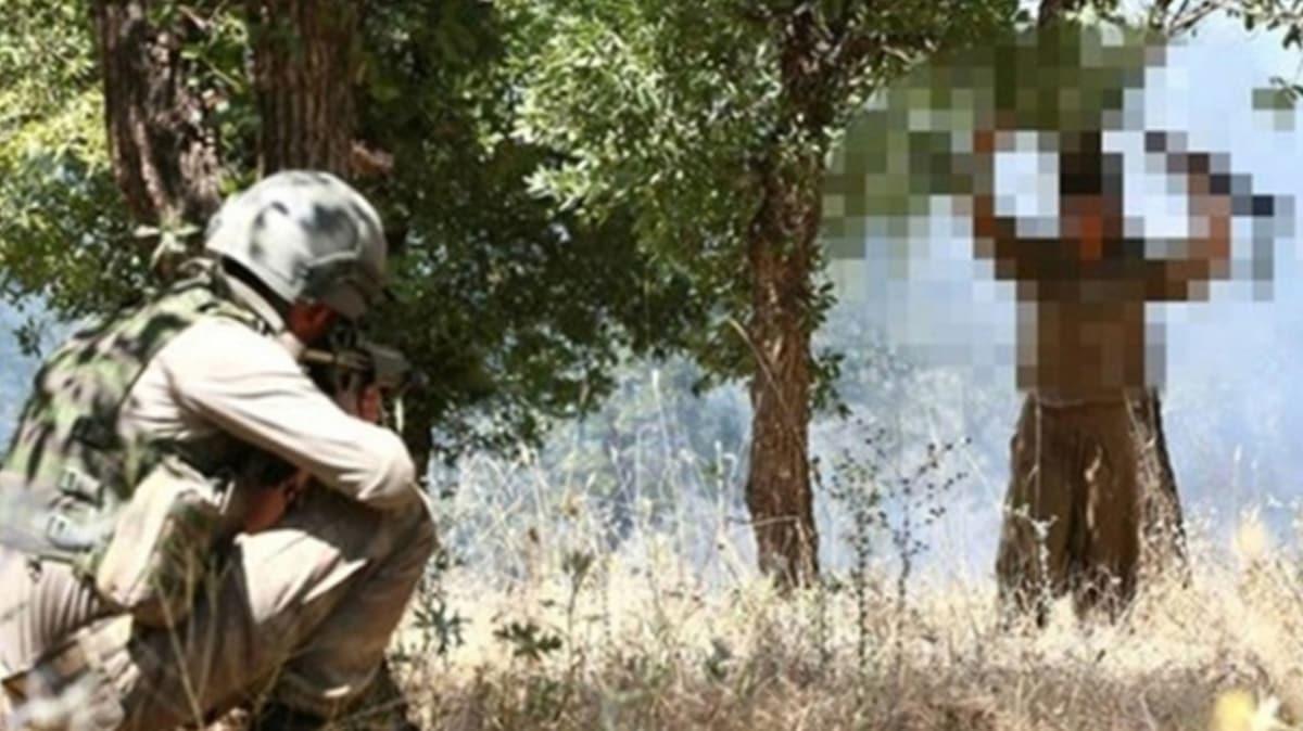 Jandarmann ikna almas sonucu bir PKK'l terrist teslim oldu