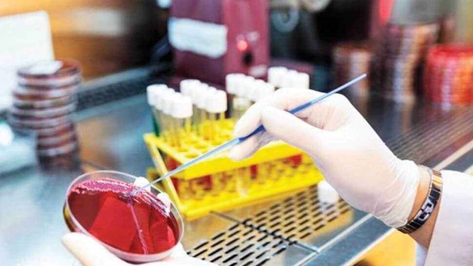 ‘Kazara' yeni tip antibiyotik keşfedildi