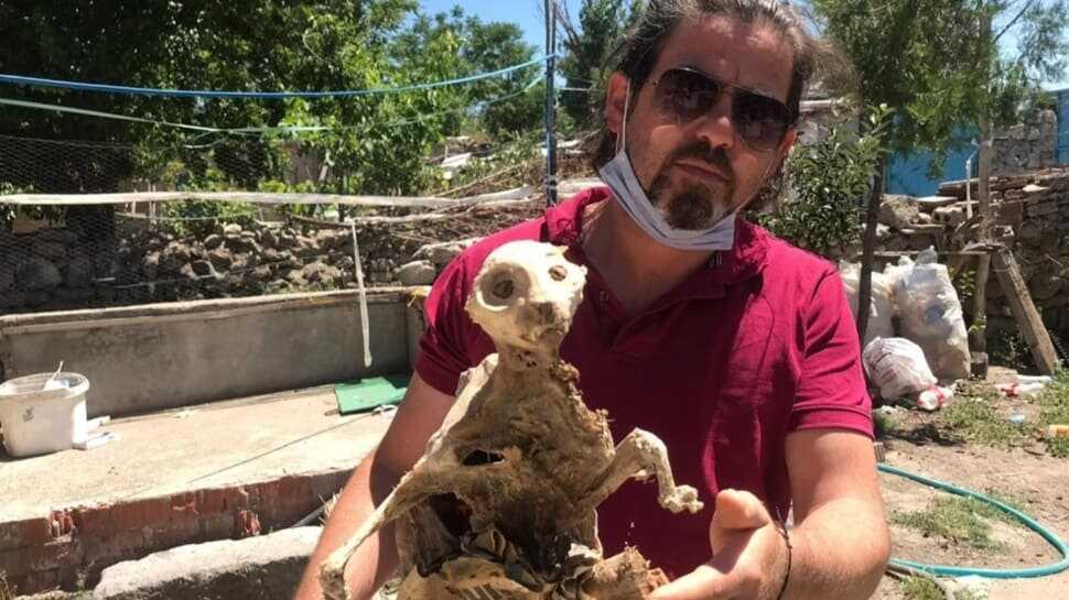 Odun toplarken bulduğu hayvan fosilini görünce gözlerine inanamadı