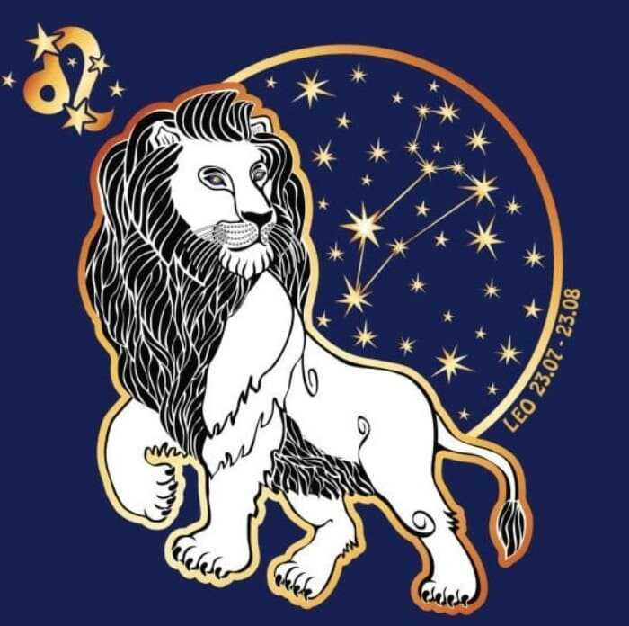 aslan-2906202015934624620feb70b7.jpg