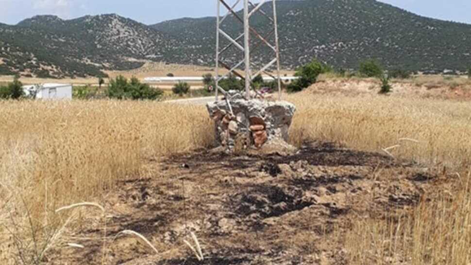 Yer: Antalya... Elektrik direğinden düşen kargalar tarlayı tutuşturdu