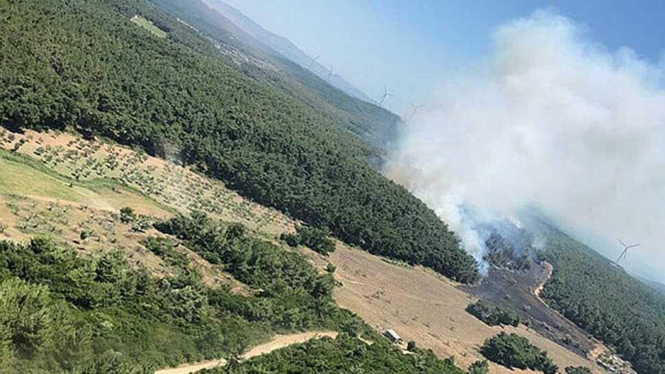 İzmir Urla'da orman yangını