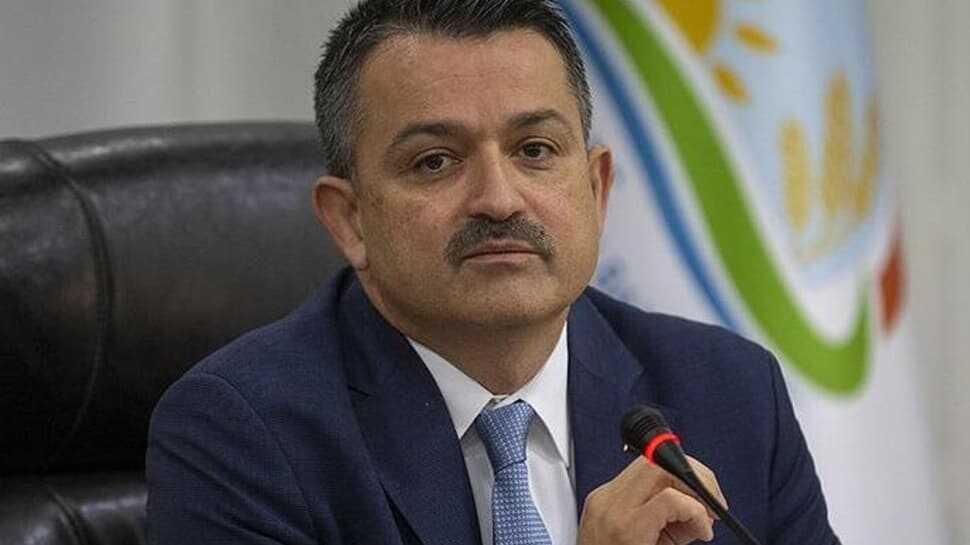 Bakan Pakdemirli duyurdu: Destek ödemeleri bugün hesaplara yatacak