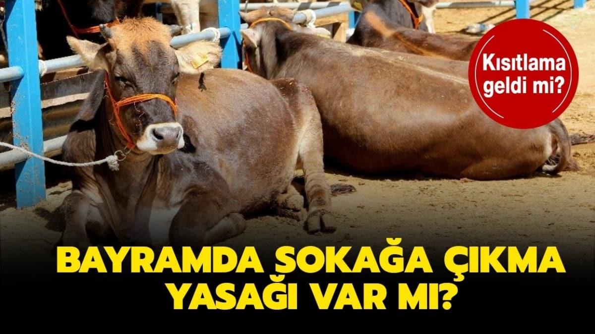 Kurban Bayram'na sayl gnler kald