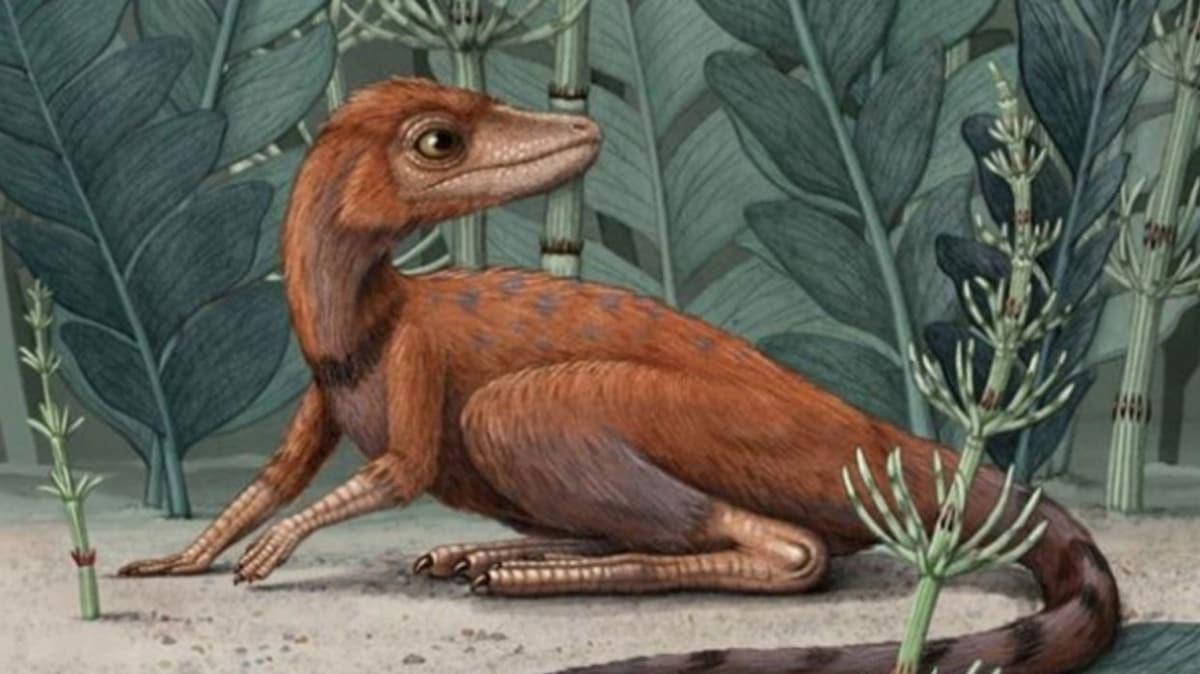 Dinozorlarn 10 santimetre uzunluundaki atas bulundu