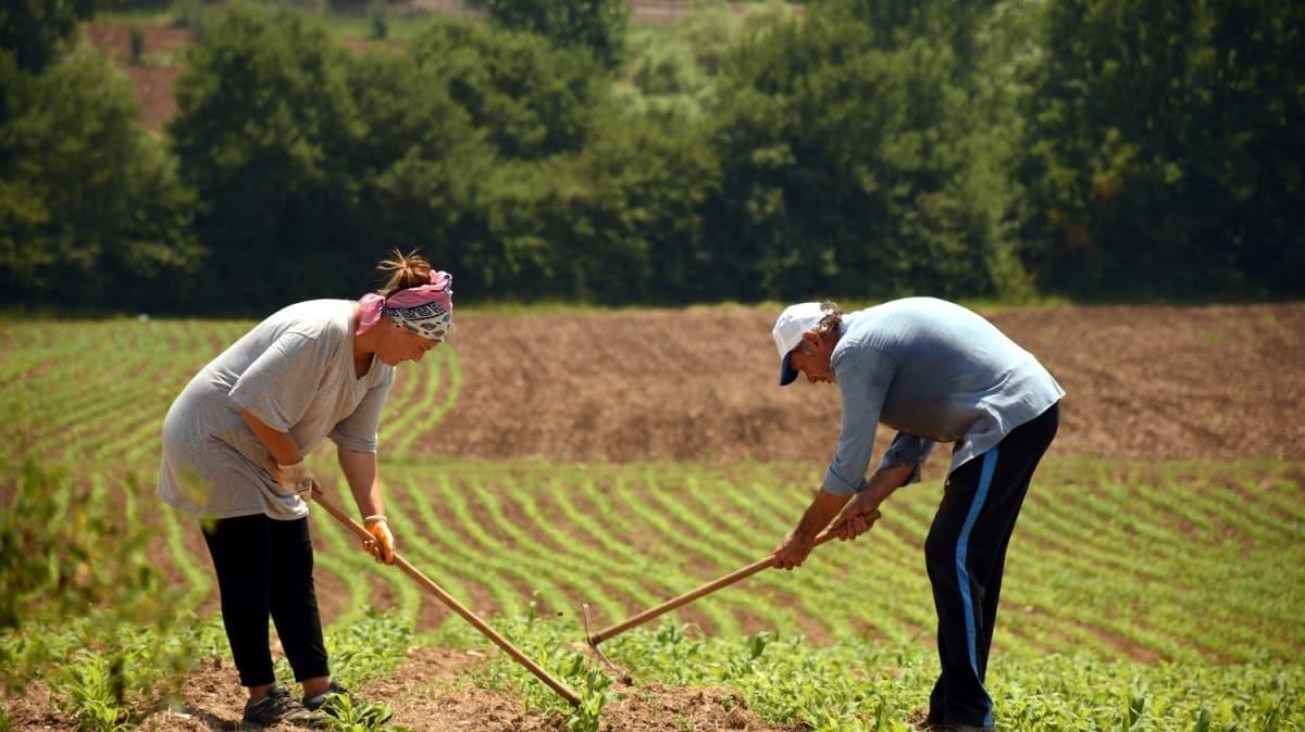 stanbul'dan uzaklaan ift, Bilecik'te arazi kiralad ve tarma balad