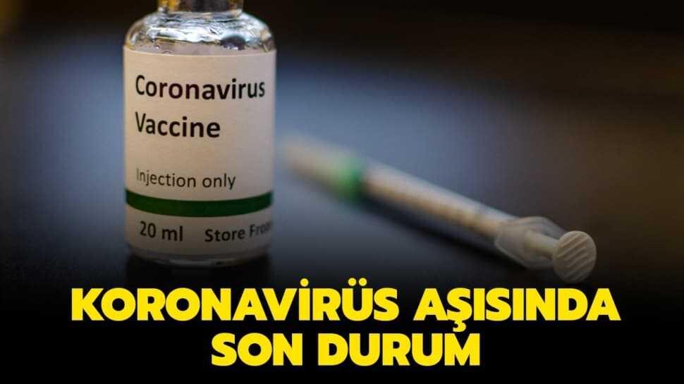 Corona aşısı ne zaman çıkacak" Koronavirüs aşı çalışmalarında son durum nedir"