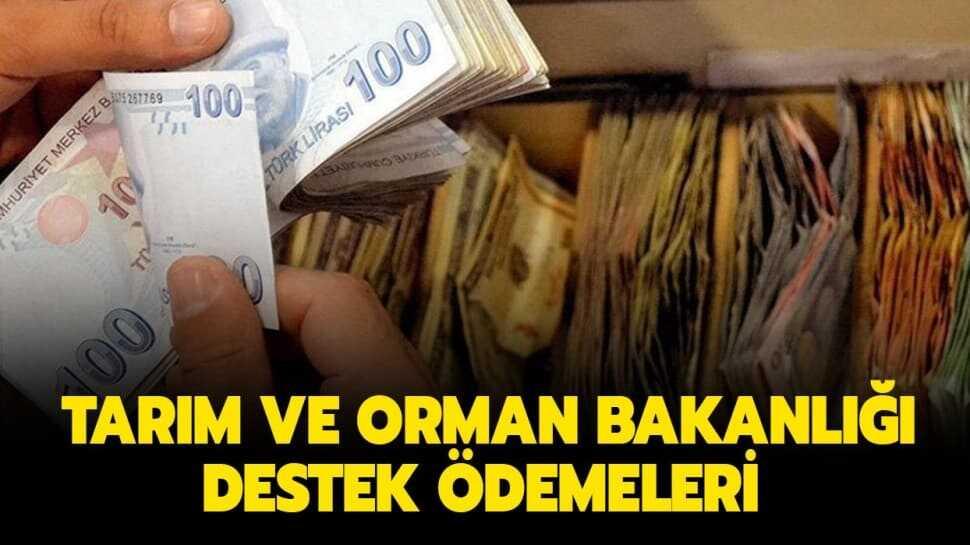 Tarım ve Orman Bakanlığı destek ödemeleri ne zaman" Tarım ve Orman Bakanlığı ödemeleri ne zaman yatacak"