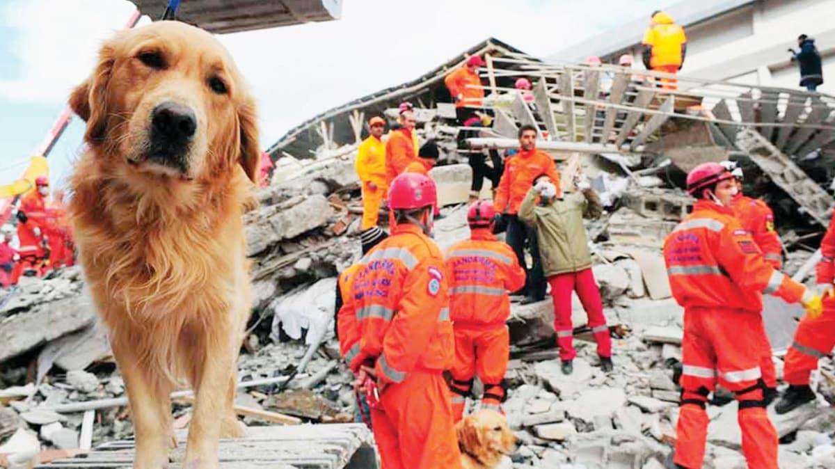 Bilimsel olarak kantland: Hayvanlar depremi nceden seziyor