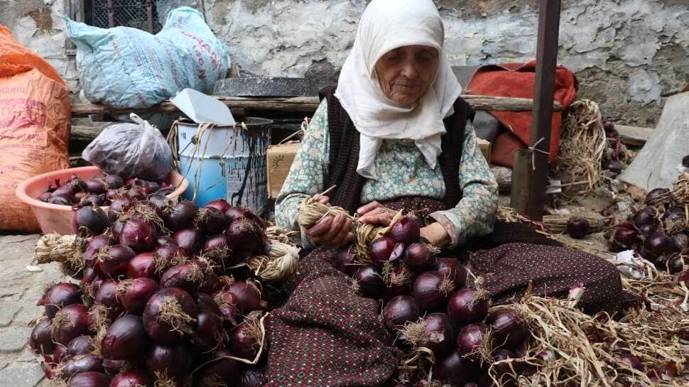 Mor soğanların sofraya geliş süreci! Mor soğan nasıl yetişiyor"