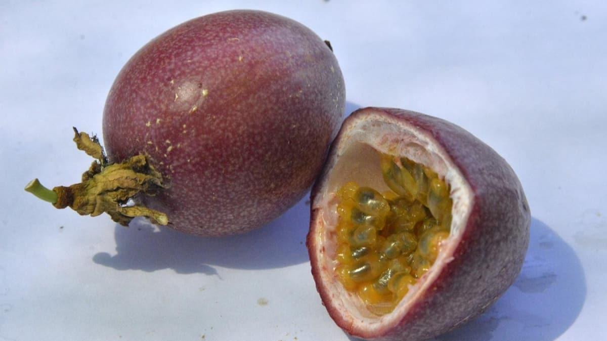 Passiflora meyvesi popler oldu, kilosu 80 TL