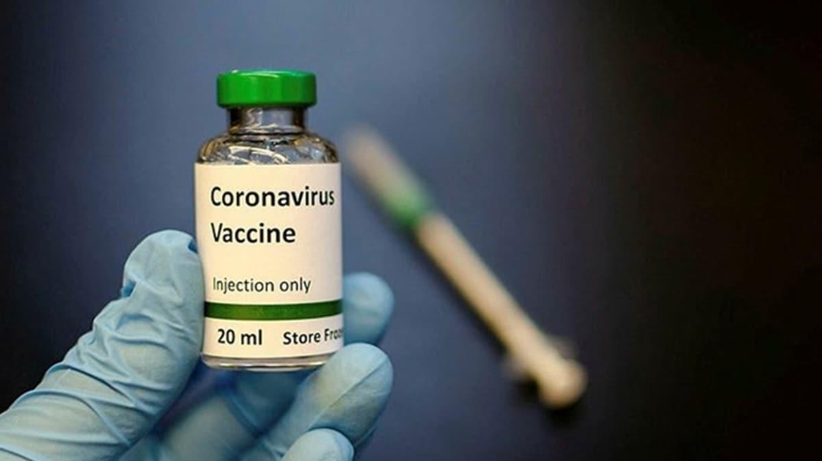 Koronavirs asnn ilk sonular duyuruldu: nsan vcudunda baklk salyor