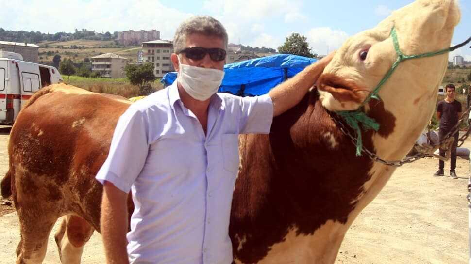 Kurbanlık pazarının gözdesi 'Şampiyon' alıcı buldu