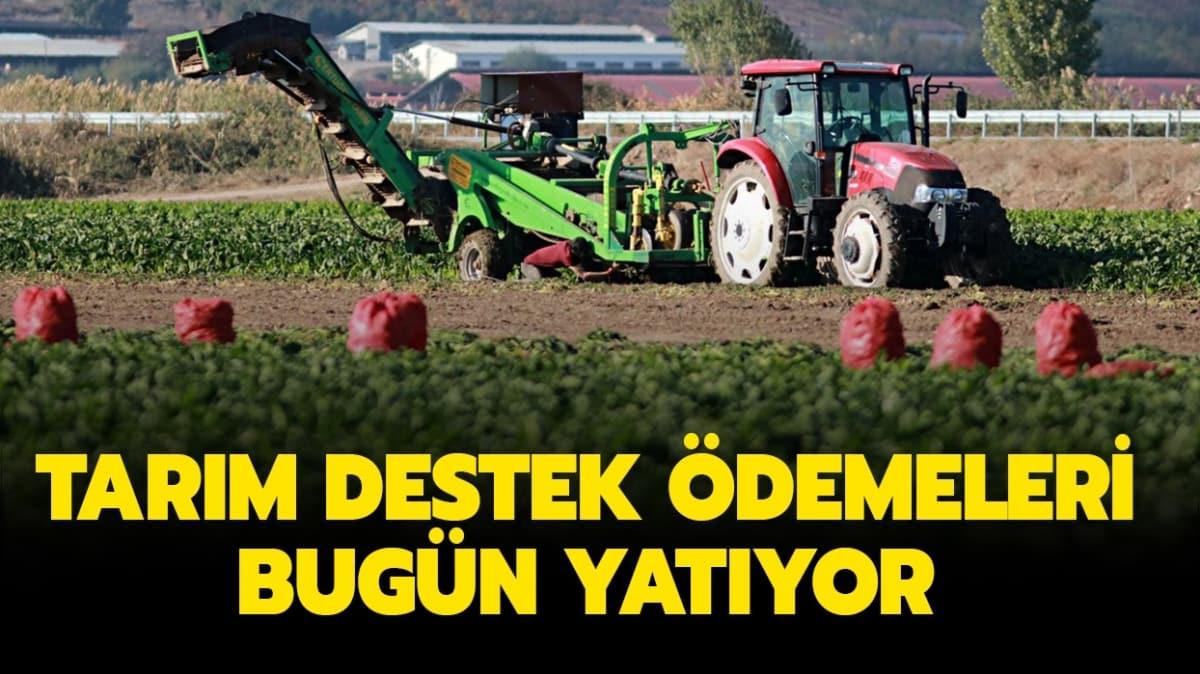 Tarmsal destek demesi 2020  yatt m" demeler ne zaman yatacak"