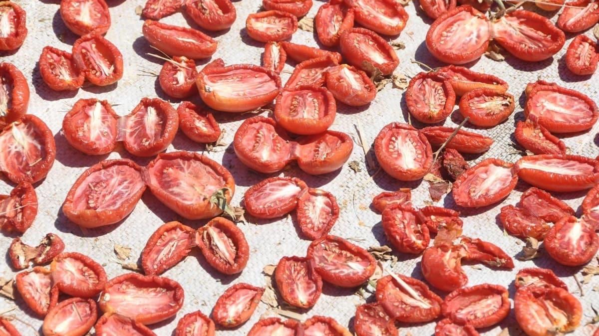 Trkiye'deki kurutmalk domateslere Avrupa'dan youn ilgi! Domates nasl kurutulur"