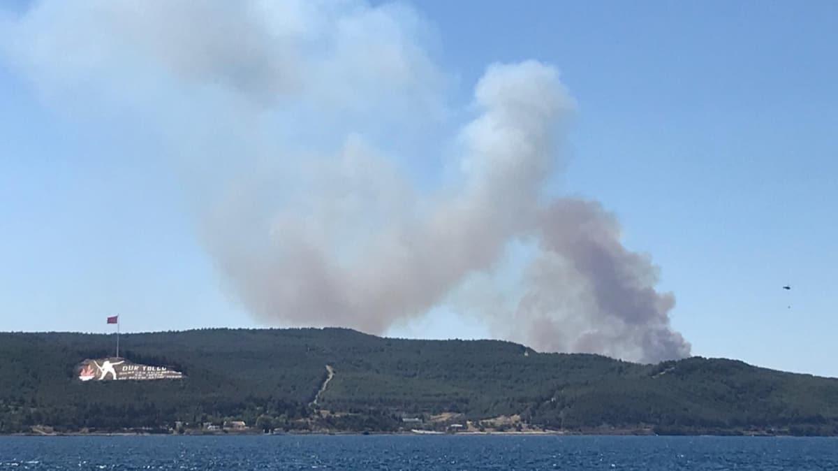 anakkale'de orman yangn! Boaz ift ynl trafie kapatld