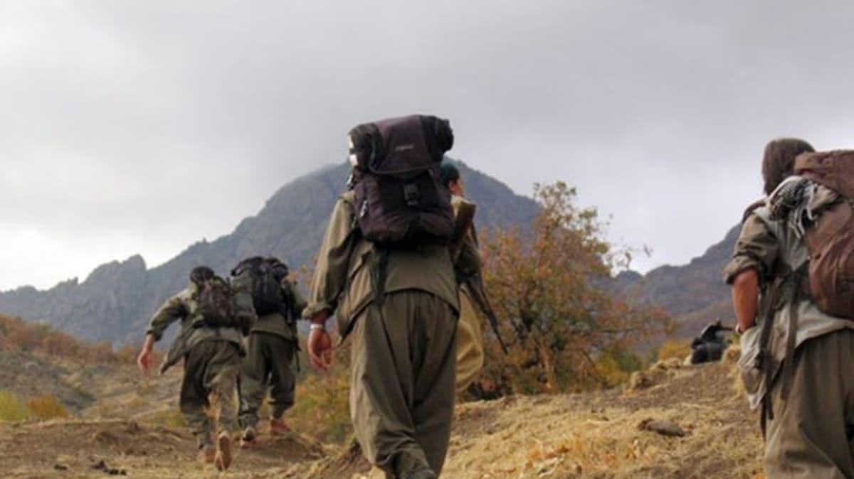 PKK'l terristlerin dada hayatta kalma sresi 2 yla dt