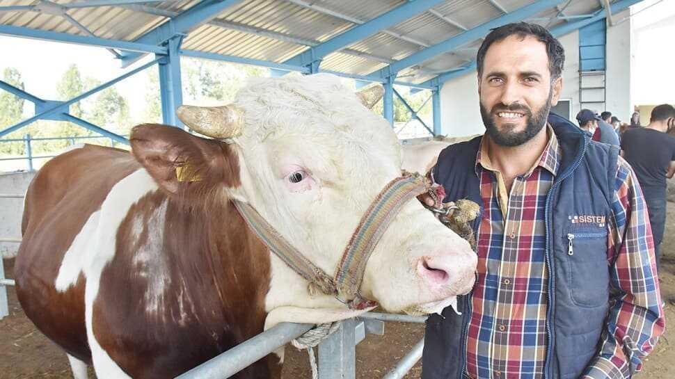 Vatandaşa uyarı: Kurban etini poşette taşımayın