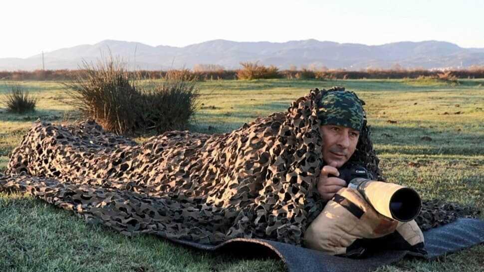 Fotoğraf tutkunu savcı kuşları fotoğraf çekmek için saatlerce bekliyor