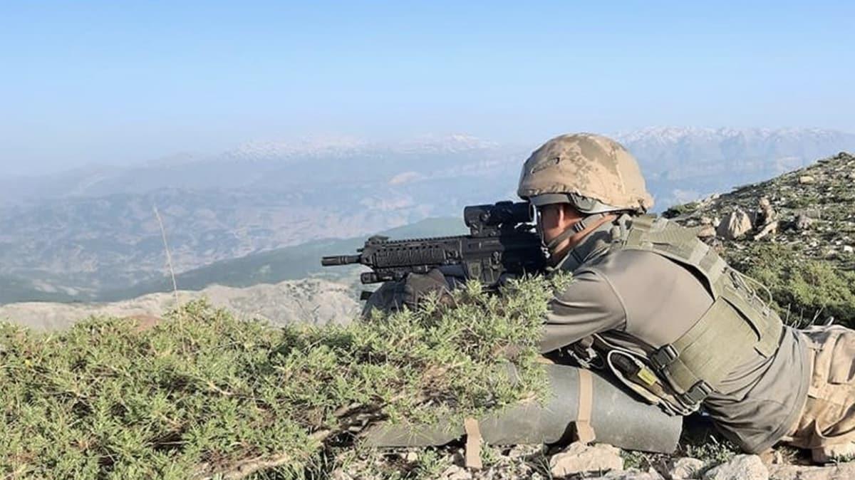 Siirt'te terr rgt PKK'ya ynelik operasyon balatld