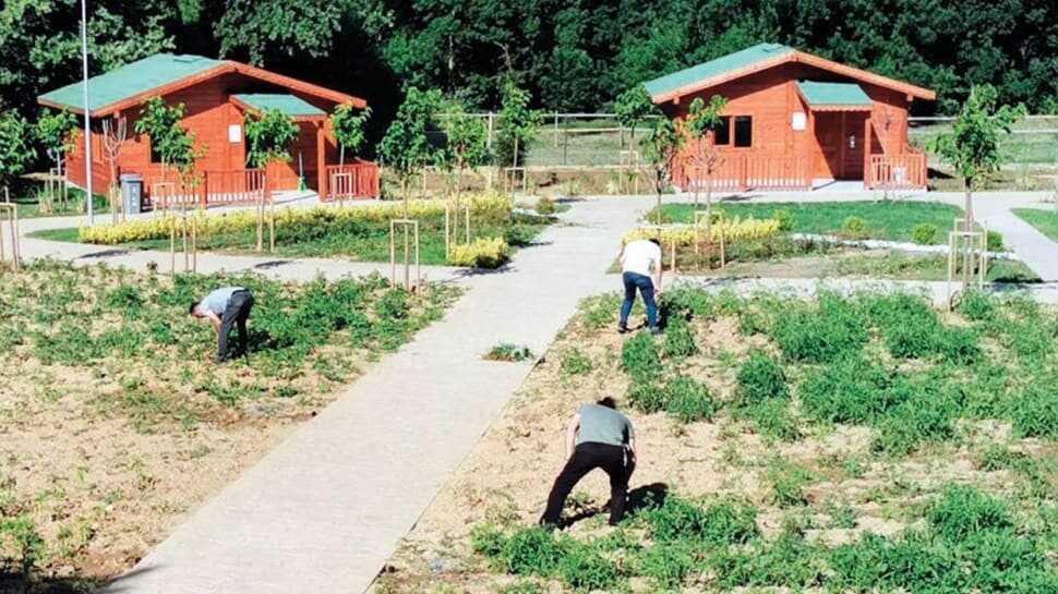 AKŞAM, Bağımsızlık Köyü'nde! ‘Yeni hayat'ın temeli topraktan