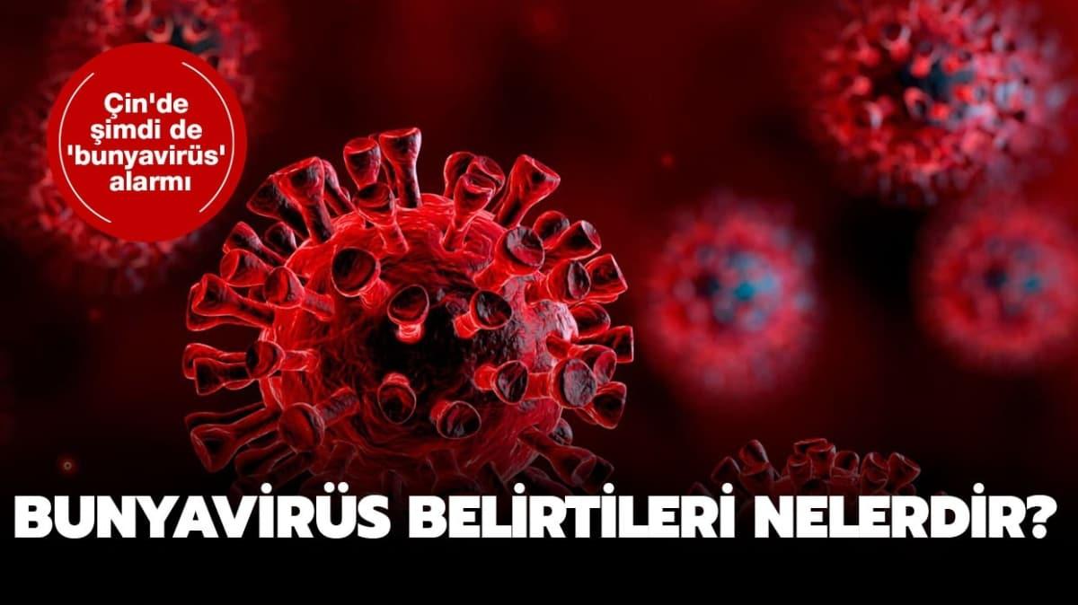 Bunya virs nasl bular" Bunyavirs nedir, belirtileri nelerdir" 