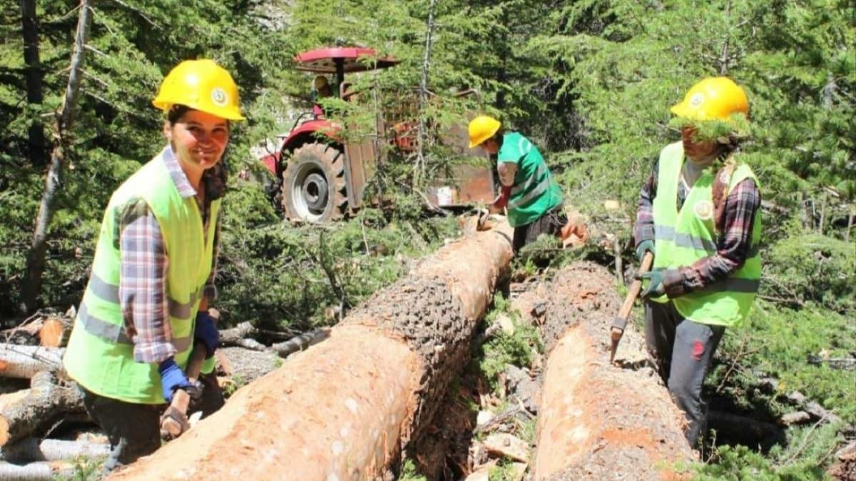 Tarm ve Orman Bakanl yeni desteini duyurdu: Orman kyllerine faizsiz kredi