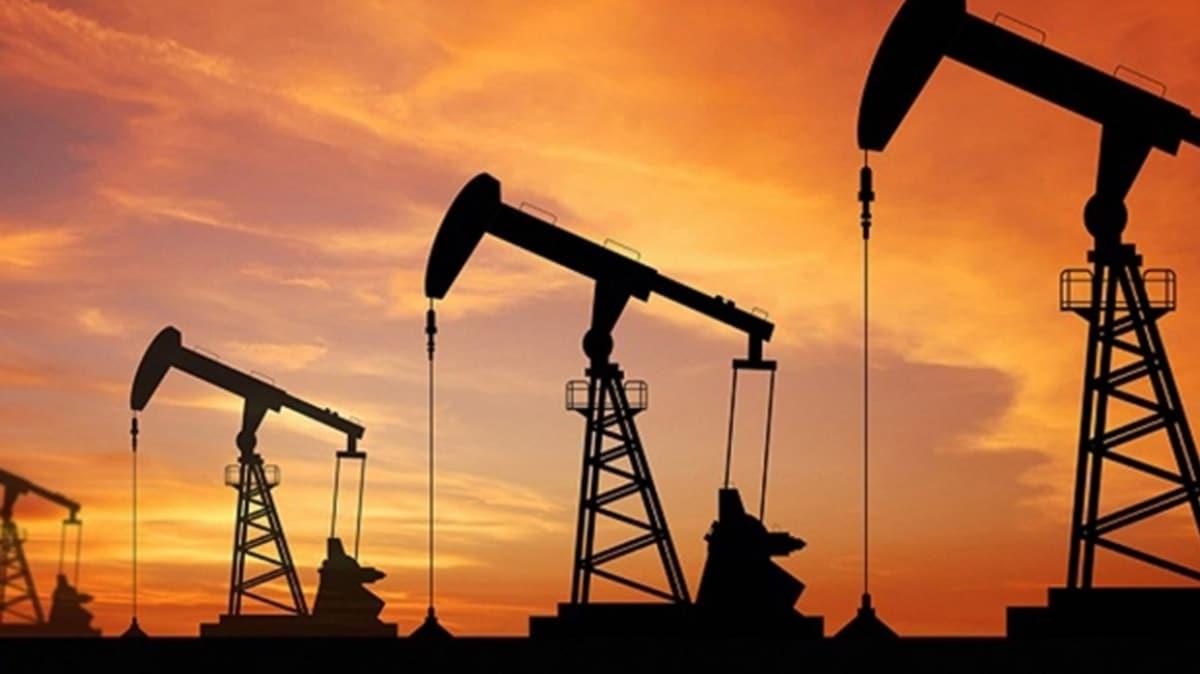 OPEC'in ham petrol retimi temmuzda artt
