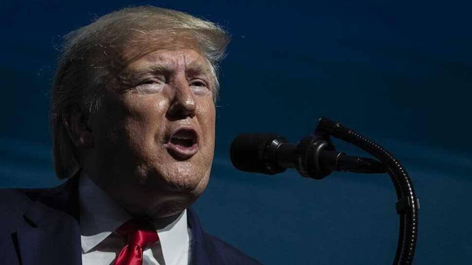 ABD Başkanlık seçimleri öncesi Trump'tan ilginç iddia: Oy pusulaları ölülere, kedilere ve köpeklere gidiyor