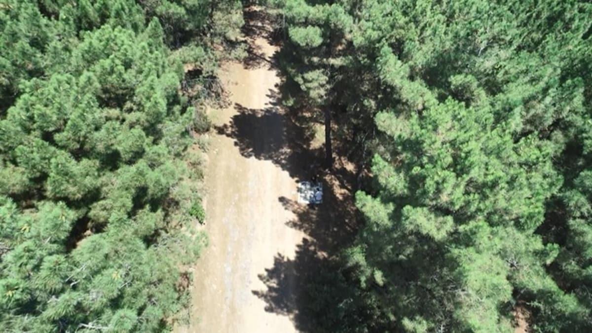 Aydos Ormanı'nda drone ile mangal denetimi yapıldı