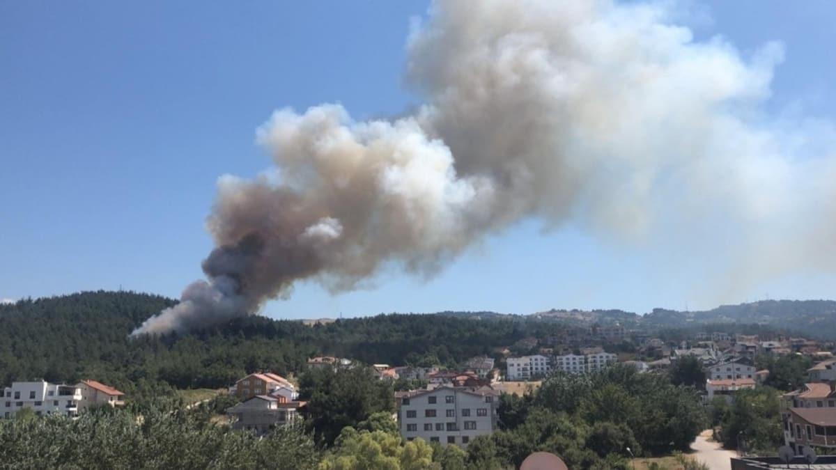 Bakan Pakdemirli: Bursa'daki yangn kontrol altna alnd