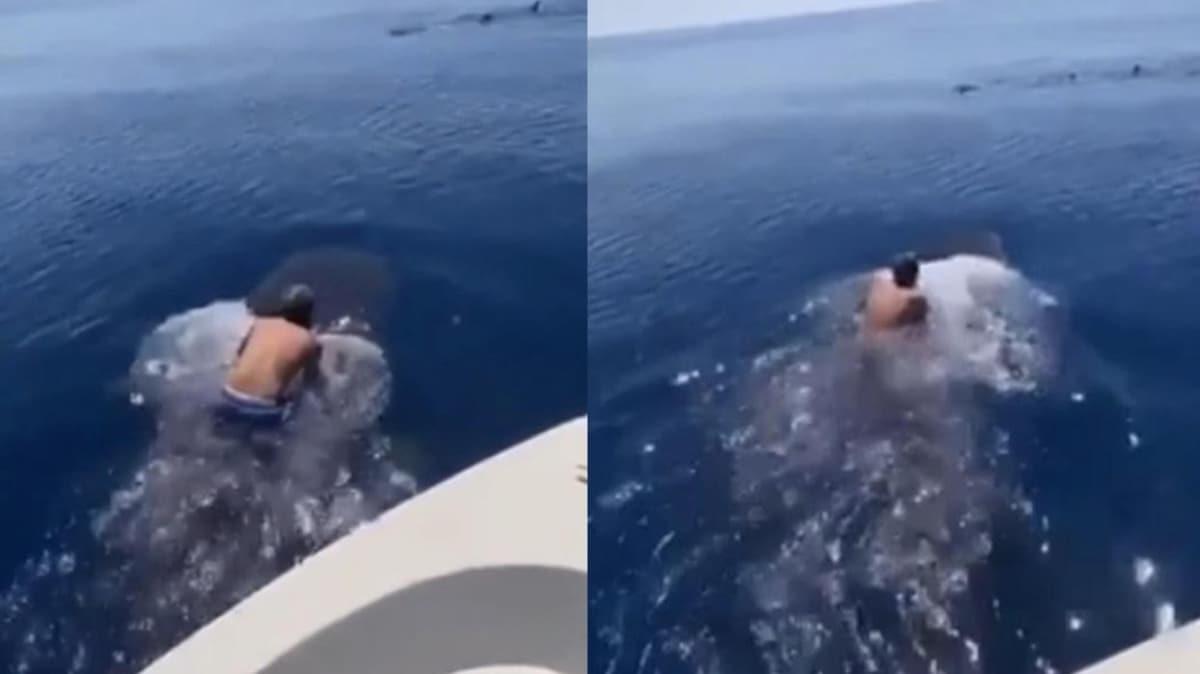 Suudi Arabistan'da bir adam balina kpek balnn srtna bindi