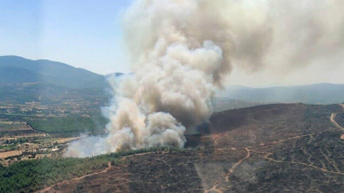 Milas'ta orman yangını başladı: Hava ve karadan çok sayıda ekip sevk edildi