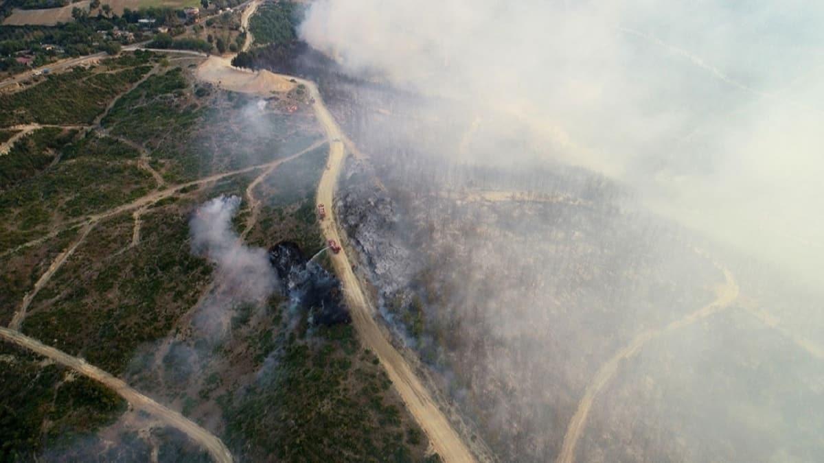 Bakan Pakdemirli: Adana'daki orman yangn kontrol altna alnd