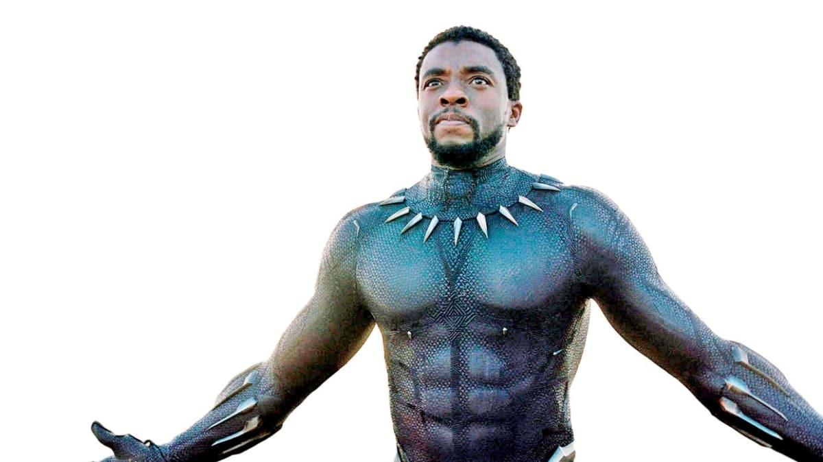 Black Panther'den veda