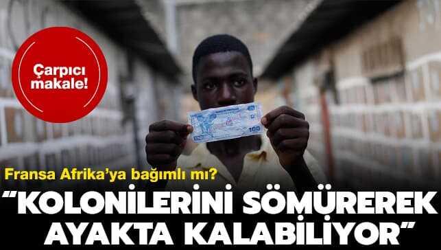 �arp�c� makale! Fransa s�m�rgelerine ba��ml� m�? 'Onlar� s�m�rerek ayakta kalabiliyor'