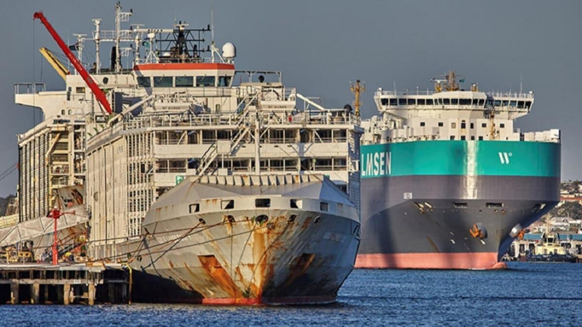 Japonya'da 43 mrettebatl Gulf Livestock 1' isimli gemi kayboldu