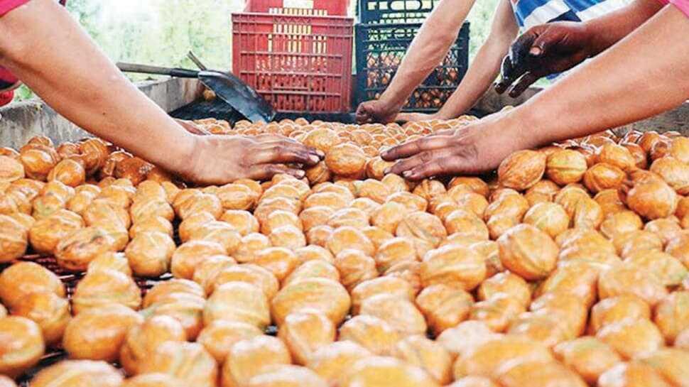 ‘Parayı zeytin, badem ve ceviz bahçesine yatırın'